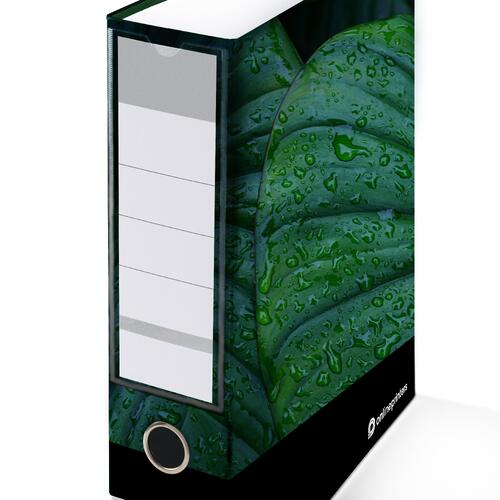 Bedrukte ordner met ringmechanisme en ruglabel.