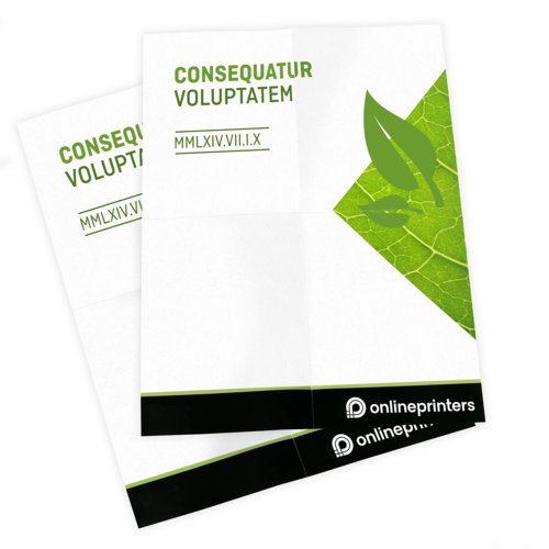 Posters eco-/natuurpapier, A3, enkelzijdig bedrukt 4