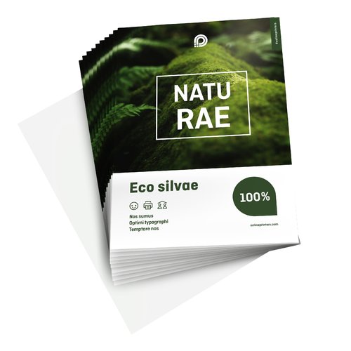 Flyers eco-/natuurpapier, A6, enkelzijdig bedrukt 2